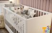 Todi Elegant 70×140 cm-es átalakítható babaágy 